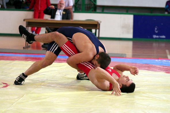 dukic gore i karajic